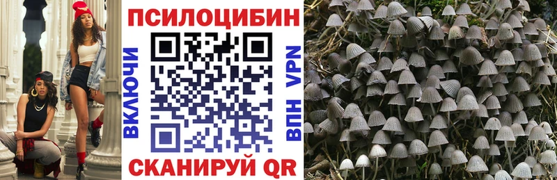Галлюциногенные грибы Magic Shrooms  Купить  Батайск 